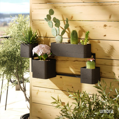 Umbra Cubiko Wall Planter with 4 Lightweight and Durable Pots (Black)