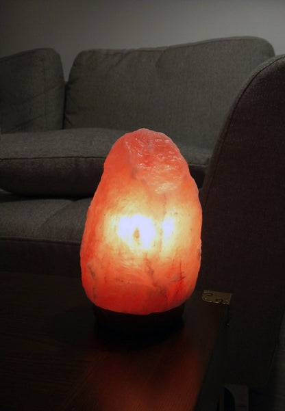 Himalayan Salt Lamp on Genuine Neem Wood Base, Natural Shape, 5-9"