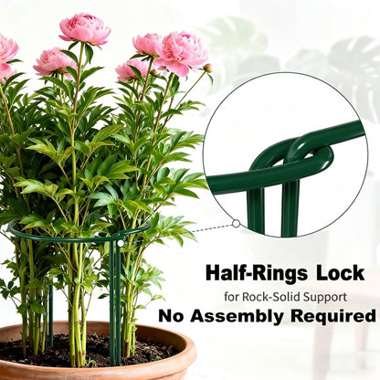 AMAGABELI GARDEN & HOME 6 Pack Peony Cage Plant Support Stakes 10" W x 16" H Heavy Duty Ring Metal Garden Support Structures Plant Cage with Ties for Indoor Flower Outdoor Tomato Hydrangea Monstera