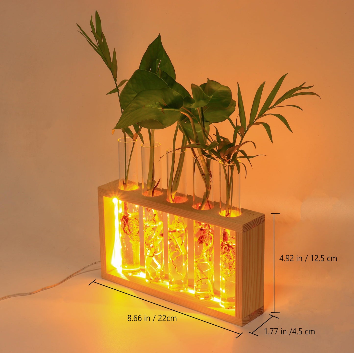 Plant Propagation Station with LED Lights, Plants Terrarium with Wooden Stand, 5 Glass Test Tube Vases for Propagating Hydroponic Plants Cutting Office Home Desk and Garden Decor Gift for Plant Lovers