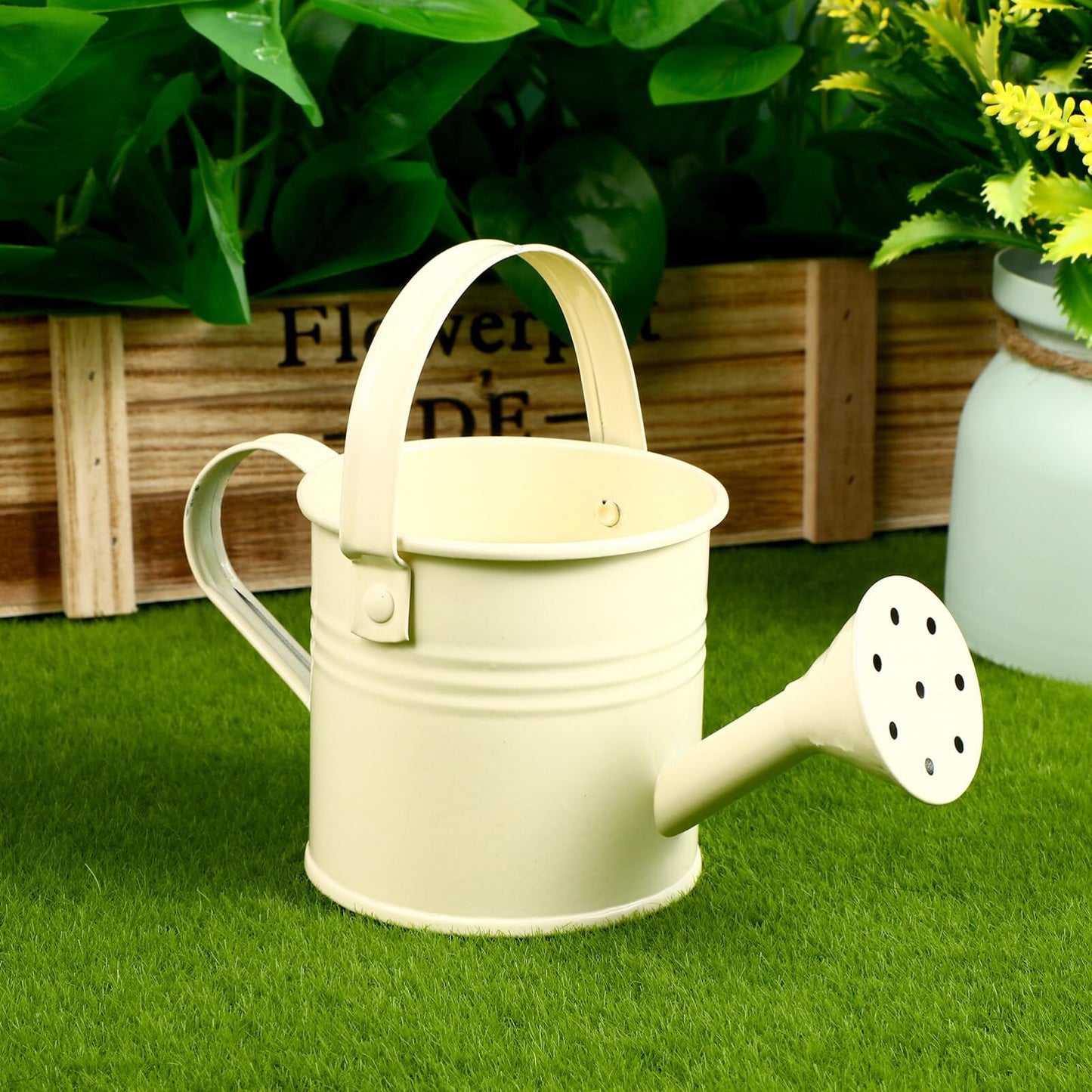 6PCS Kids Metal Watering Can Indoor Plants Small Watering Can for Indoor Plants Mini Gardening Tool Tiny Kettle for Gardening