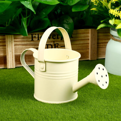 6PCS Kids Metal Watering Can Indoor Plants Small Watering Can for Indoor Plants Mini Gardening Tool Tiny Kettle for Gardening