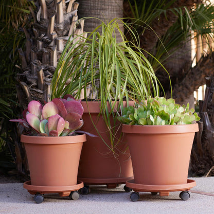 Bloem 14" Terra Cotta Round Planter Pot Caddy with Wheels, 100lb Capacity