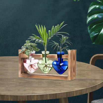 Duiaynke Hydroponic Flower Vase Glass Vase Table Centerpiece Plant Propagation Modern Propagating Jar Plant Terrarium for Dining Table (Color)
