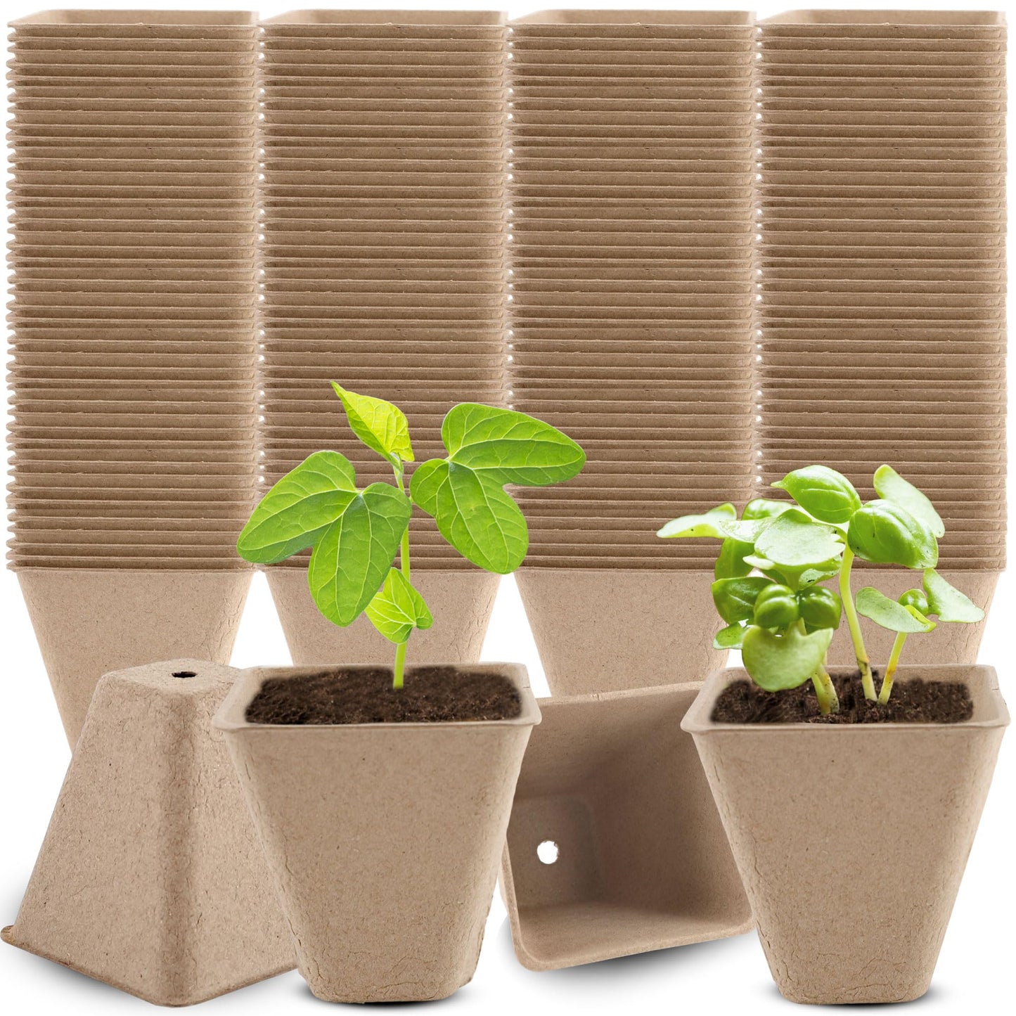 Plukeen 200 Pcs 3.15 Inches Square Seed Starting Pots Biodegradable Drainage Holes Nursery Pot Small Seed Starter Tray Bulk Garden Germination Container for Herb Seed Starter (Color Style 1)