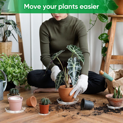 Dovesail 20 Pack Plant Saucer Tray, 6/8 /10/12 inch Heavy Duty Flower Pot Trays, Plastic Plant Saucer for Indoor & Outdoor Plants, Plant Trays to Catch Water, 5 Pieces of Each Size