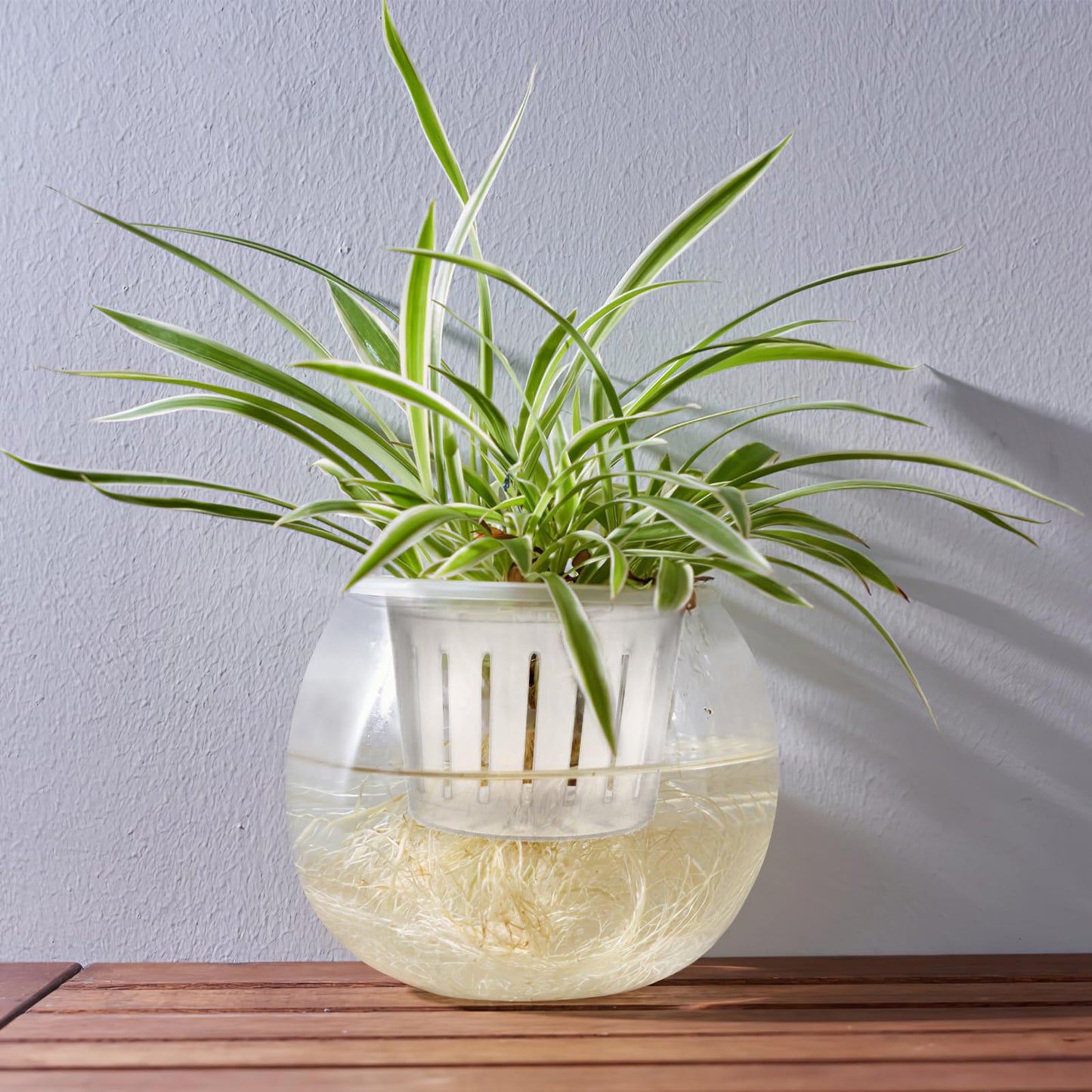 YARNOW Hydroponic Plant Water Storage Bottle with Removable Planting Basket 5.90X5.90X4.33In Clear Self Watering Flowerpot for Indoor Outdoor Aquatic Plants Home Desk Decor