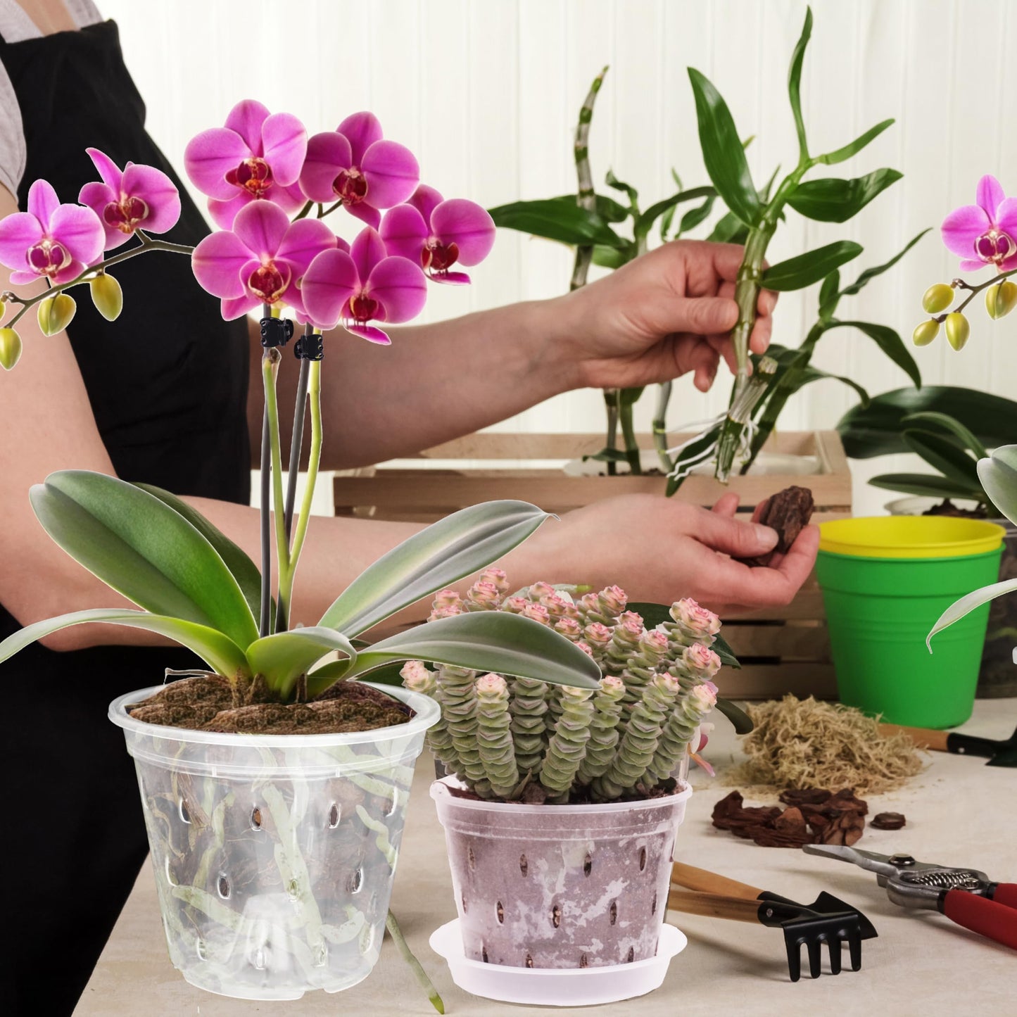 AUGXIXI Orchid Pots, 5.7 Inch 10Pcs Clear Orchid Pots with Holes and Saucers, Plastic Plants Flower Nursery Orchids Drainage Indoor Planter for Planting Repotting