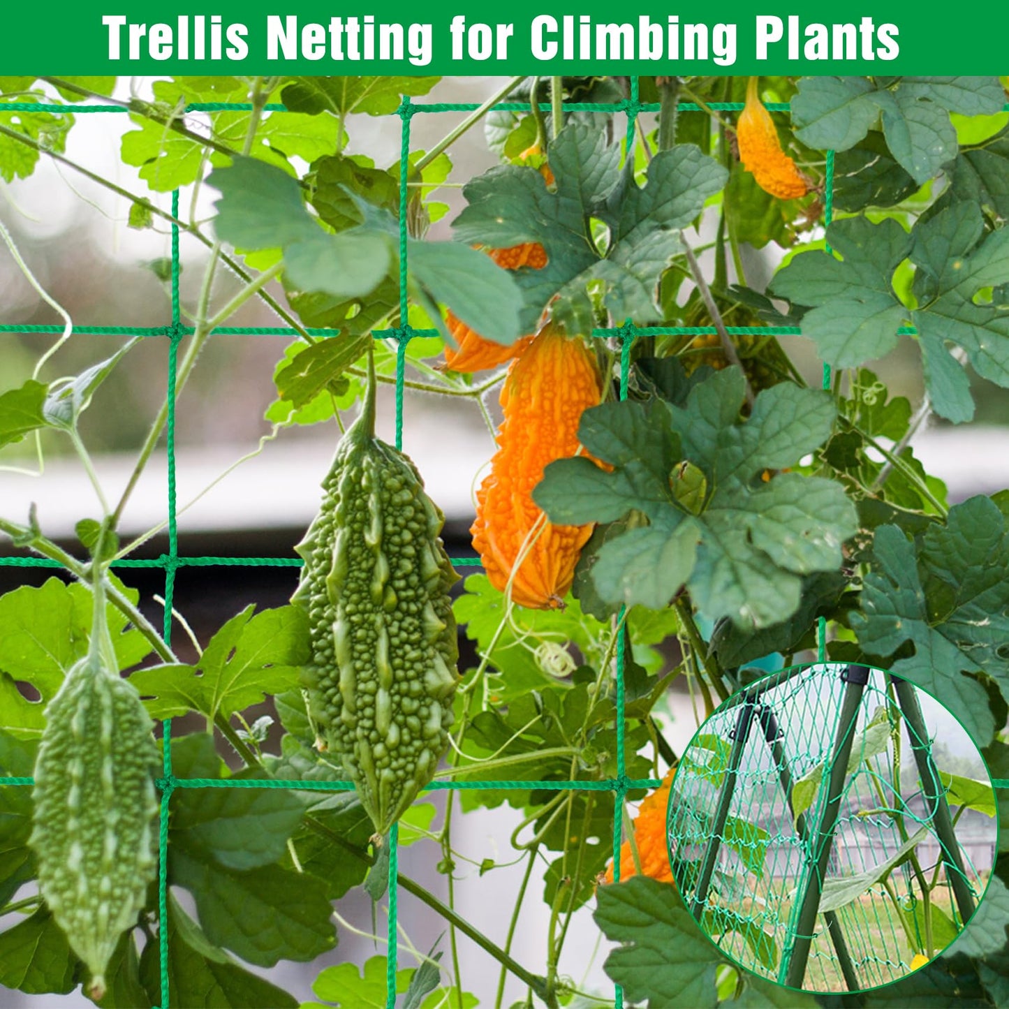 Unves Garden Trellis for Climbing Plants, 16.4 x 6.6 Ft Garden Trellis Heavy Duty Plant Net for Cucumber, Tomato, 27 Strands & 4x4 Inch Netting for Vegetables, Grapes, Bean