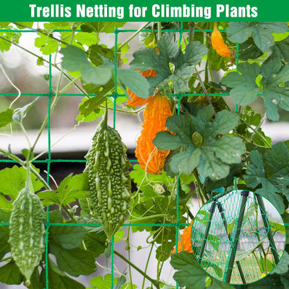 Unves Garden Trellis for Climbing Plants, 16.4 x 6.6 Ft Garden Trellis Heavy Duty Plant Net for Cucumber, Tomato, 27 Strands & 4x4 Inch Netting for Vegetables, Grapes, Bean