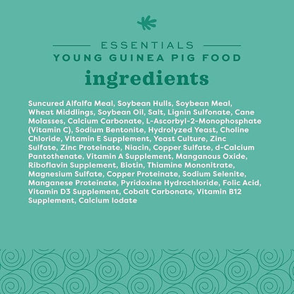 Oxbow Essentials Young Guinea Pig Food, Guinea Pig Pellets Made with Timothy Hay, Stabilized Vitamin C, Small Animal Pet Products, Small Animal Food Made in USA, High Fiber, 10 lb. Bag