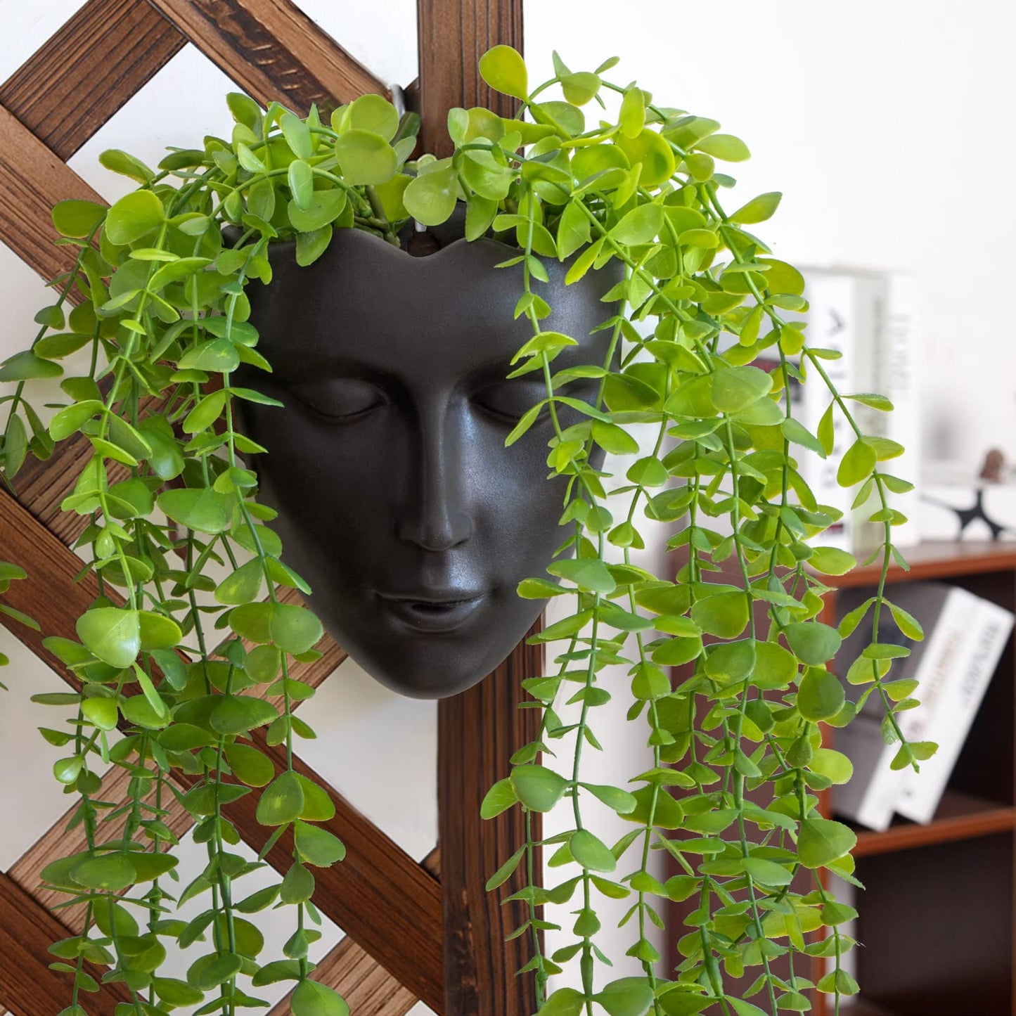 Notakia Face Planter Pot Wall Mounted Outdoor/Indoor Planter with Drainage for Succulents, Cactus, and Small Plants Unique Home Decor Gift for Friends and Family (Black)