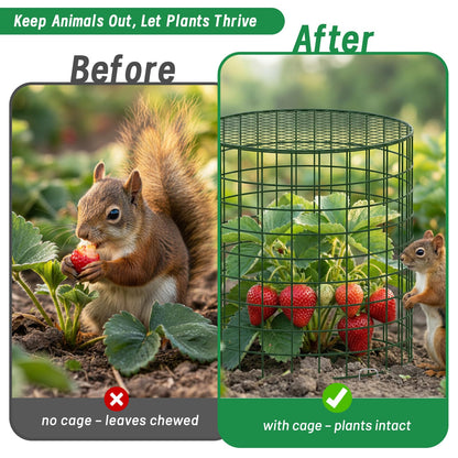 Convivium Plant Protectors from Animals 6 Packs, 13 x 12 in Metal Chicken Wire Cloche Plant Cages for Outdoor Plants, Garden Fencing Animal Barrier with Detachable Dome Lid, Stakes & Zip Ties