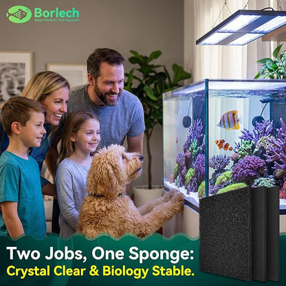 Borlech Aquarium Bio Filter Sponge Pad - Cut-to-Size Aquarium Filter Media for Fish Tank, Pond, Sump - Mechanical & Biological Filtration (18.5"x18.5"x0.8", 35PPI, 2 Pack)