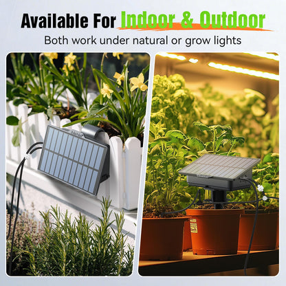 RAINPOINT Easy-Setup Solar Drip Irrigation System Outdoor & Indoor, Automatic Plant Waterer Device Kit Beginner-Friendly Garden Raised Bed Grow Tent Water 10-15 Plants