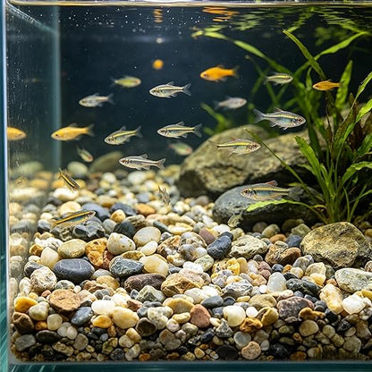 20LB Decorative River Rocks Gravel - 2/5" Mixed Color Gravel for Vase Filling, Flower Pot Paving. Gravel for Garden Decoration,Landscaping,Aquarium Aquascape Gravel, Fish Tanks Gravel(8-12MM)