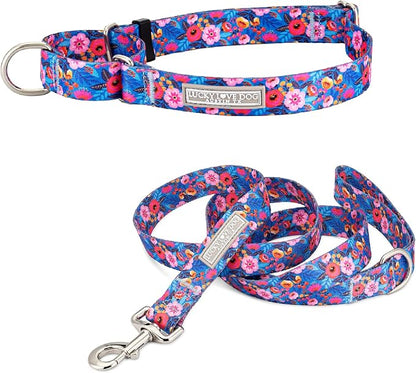 Lucky Love Dog Martingale Dog Collar & Leash - Adjustable, No-Slip, Durable, Comfortable, Soft Webbing, & Stylish Patterned Collar & Leash Set for Male and Female Dogs - Zuzu Combo, Large