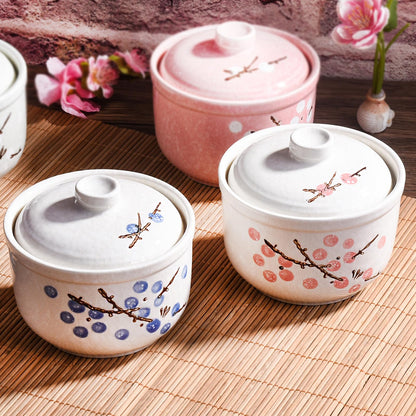Whitenesser Ceramic Stew Bowl with Lid and Spoon Set of 2, Multi-Use for Stew, Soup, Salt, Sugar and Spice, Kitchen Container