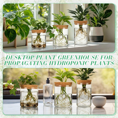Ferrochef 6 Pcs Glass Plant Propagation Stations (2 Large + 2 Medium + 2 Small) Hydroponic Flower Vases Desktop Plant Terrarium Jar for Cuttings, for Living Room, Bedroom, Home Decoration