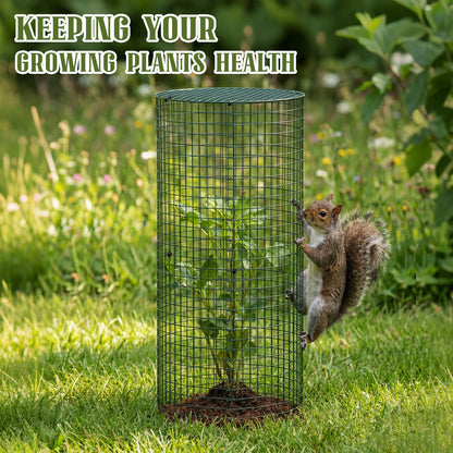 Otoolling 12 Pack 24" x 12" Garden Plant Protectors from Animals with Detachable Covers Metal Plant Cage Chicken Wire Cloche with Ground Stakes and Nylon Tie for Flower Vegetable to Keep Animals Out