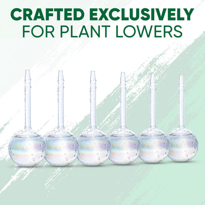 Mission Gallery Clear Plant Watering Globes Set of 6 - Small Self Watering Globes for Indoor & Outdoor Plants - Automatic, Glass Watering Bulbs for Daily Use, Plant Watering Devices