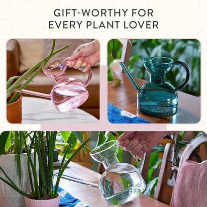 Modern Sprout Plant Watering Can - Handcrafted from Borosilicate Glass - Long Spout Vessel for Indoor Plants - 32 Oz Capacity - Multipurpose Watering Can and Flower Vase for Houseplants (Blush)
