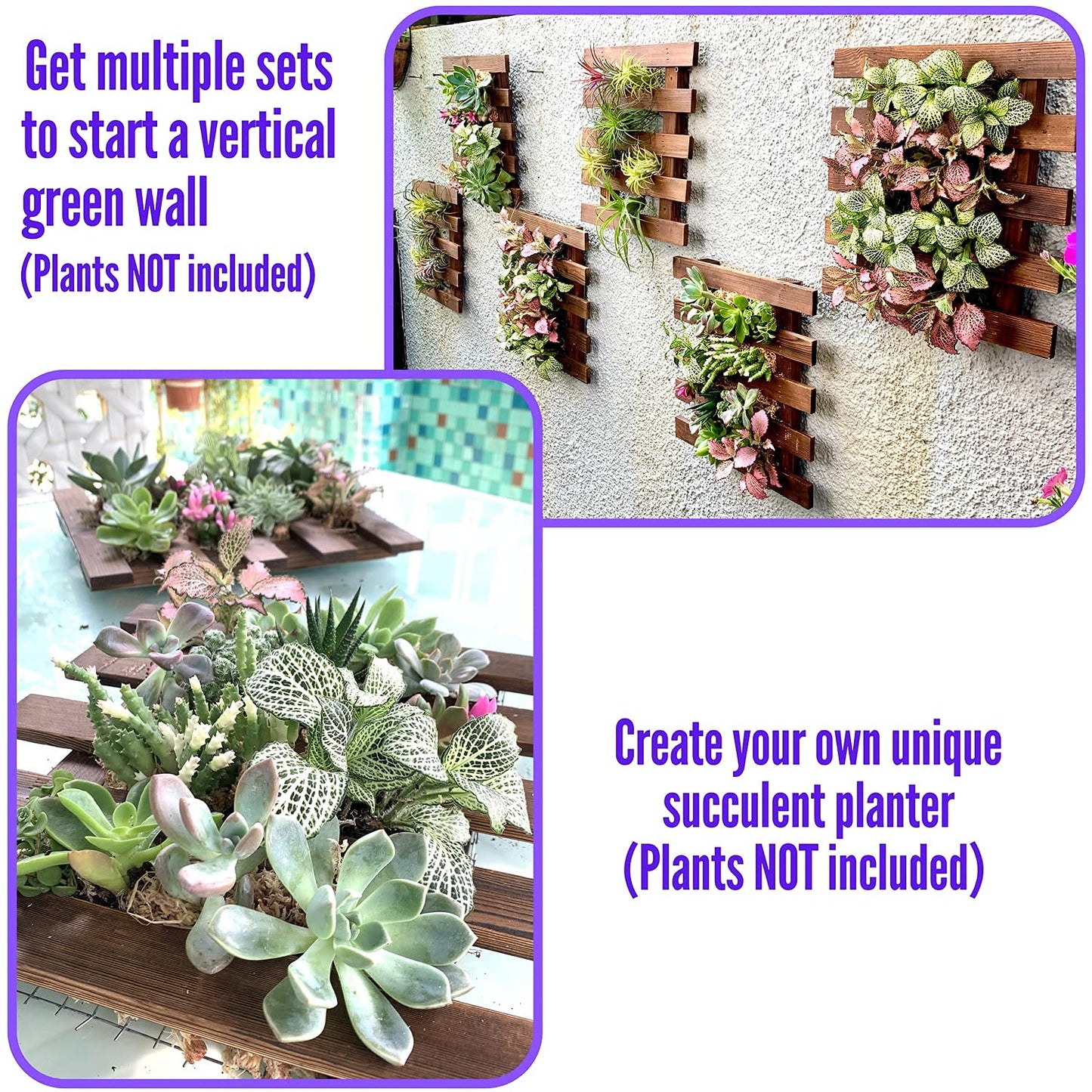 LalaGreen Bundle - 5" Pot + 2 Wooden Plant Holder, White Self Watering Pot, Wall Hanging Planters for Indoor and outdoor,Wall Mount Air Plants Succulent Holder Hanger,Vertical Garden Plant Stand Decor