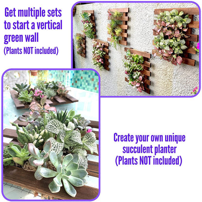 ShopLaLa Wall Planter - 2 Pack Wooden Orchid Planter Frame Display Outdoor Plants, Wall Mount Air Plants Succulent Holder Hanger, Vertical Garden Plant Wall Decor Macetas para Orquideas 15.7" (40cm)