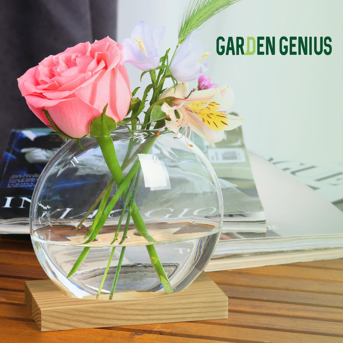 Single Glass Propagation Station with Wooden Base – Hydroponic Plant Terrarium for Home & Office | Ideal Christmas, New Year & Birthday Gift for Plant Lovers, Moms | Desktop Windowsill Planter Vase