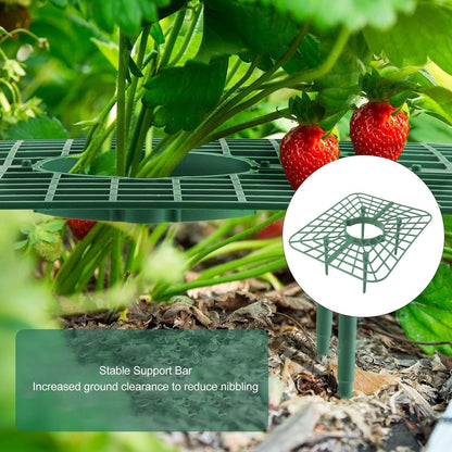 Sunicon 20Pcs Strawberry Supports, Detachable PP Waterproof Reusable Square Strawberry Growing Racks Plant Support Strawberry Stand Holder for Soil Planting Indoor Pots