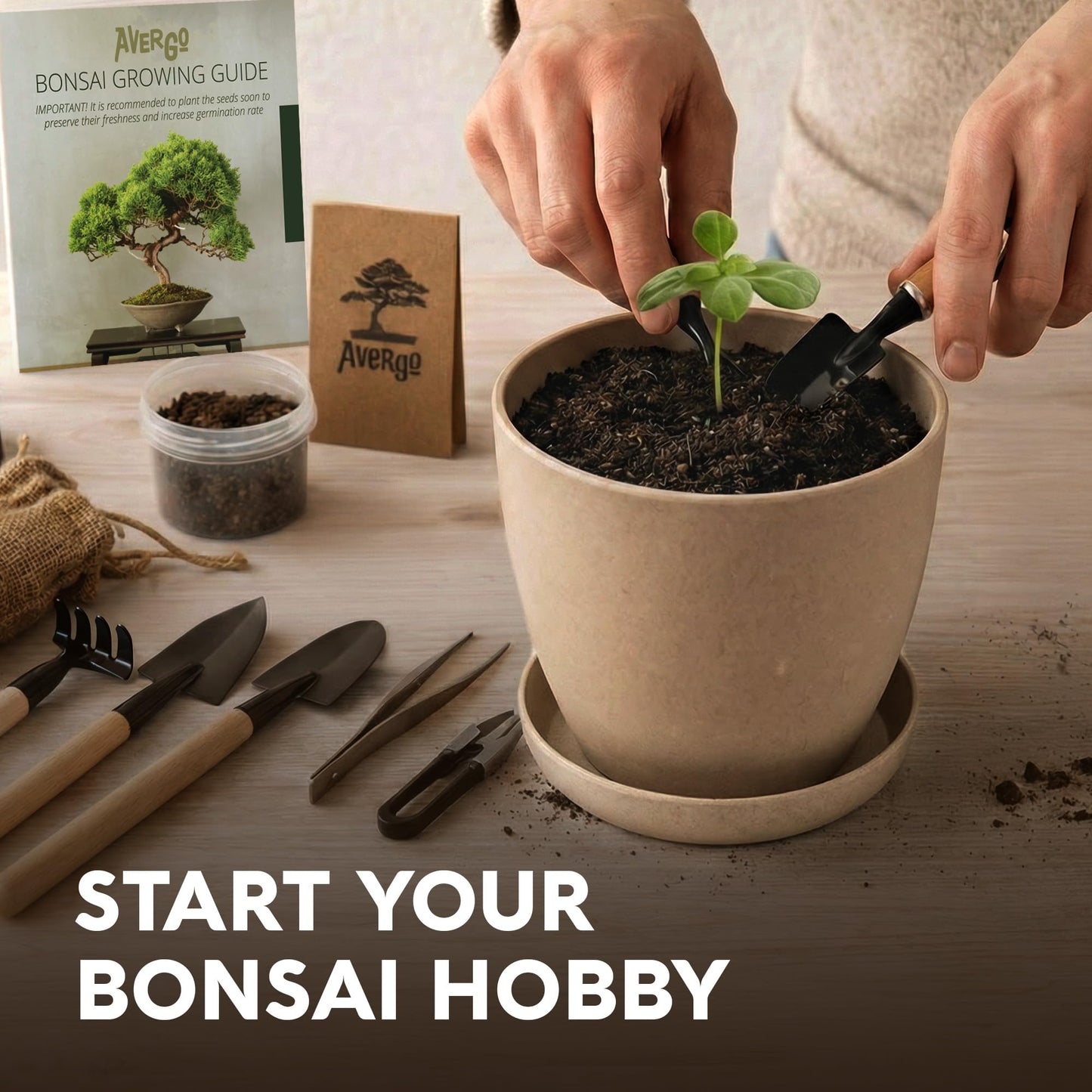 Avergo Bonsai Starter Kit – Growing Jacaranda Bonzai Tree | Complete Indoor Tree Kit for Growing Plants with Tools & Planter – Gardening Gifts for Mother, Women & Men