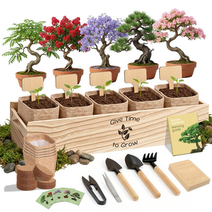 JELHFIP Bonsai Tree Starter Kit for Beginners 5 Unique Indoor Bonsai Trees with Gardening Tools DIY Bonsai Growing Kit Perfect Gifts for Women Men Plant Lovers for Birthday Father’s Day Housewarming