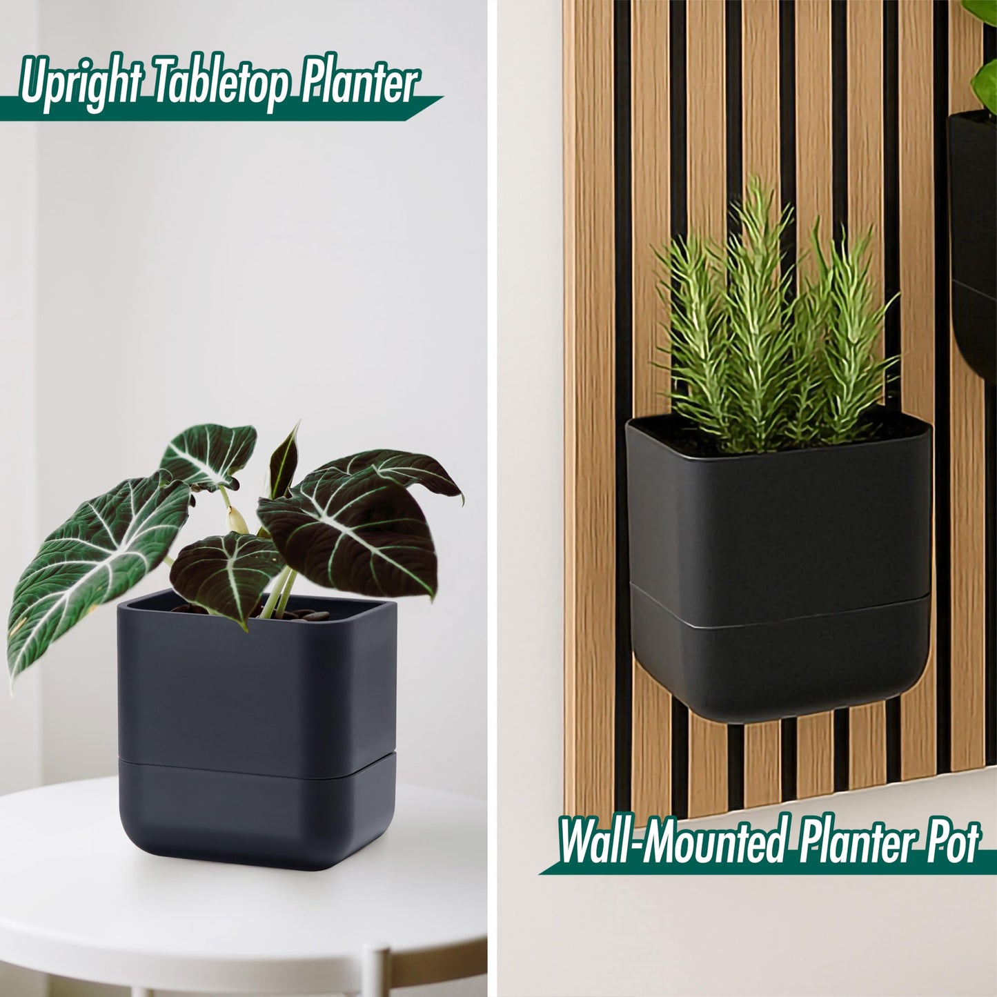 Phoenix Vine 6.5 Inch Wall Mounted Self-Watering Planter Pot for Indoor Houseplants and Herbs | Hanging Planter for Window Sills, Bathroom Walls, Home & Office Décor, Black, Set of 3, 01-C-E-3
