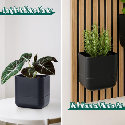 Phoenix Vine 6.5 Inch Wall Mounted Self-Watering Planter Pot for Indoor Houseplants and Herbs | Hanging Planter for Window Sills, Bathroom Walls, Home & Office Décor, Black, Set of 2, 01-C-E-2