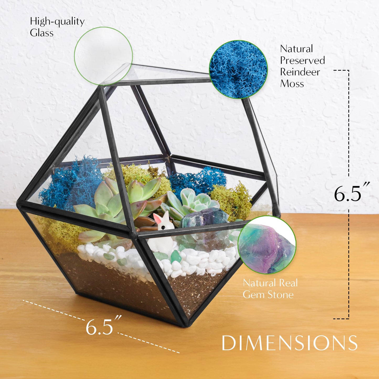 Creations by Nathalie DIY 7" Geometric Terrarium Kit - Build Your Own Glass Terrarium for Adults & Teens with Moss, Crystals, Tools & Decor - Handcrafted in the USA (Live Plant Included)