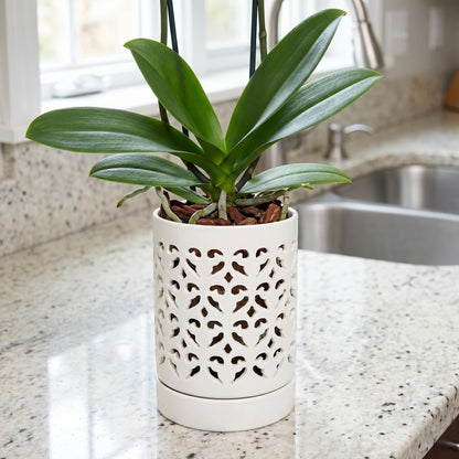 Jucoan 2 Pack Orchid Pots with Holes and Saucer, 4 Inch Ceramic Slotted Orchid Planter Pots for Repotting Indoor Outdoor Plant, Elegant Beige White and Green
