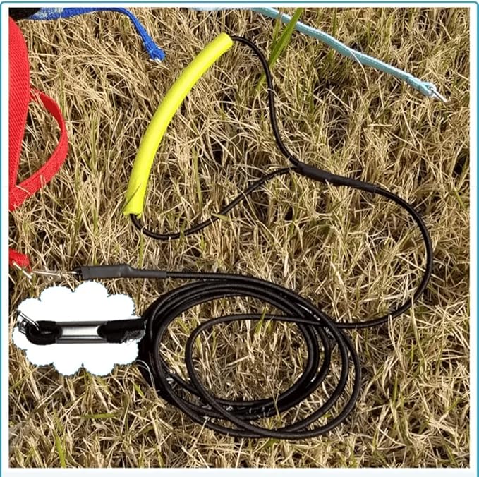 Bird Harness Leash Adjustable Outdoor Training Flying Harness Traction Rope with Cute Wing for Parrots Pigeons Budgerigar Lovebird Cockatiel Mynah (L,Blue)