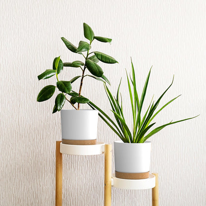 FIASON 8 inch Plant Pots, Plastic Planter with Drainage Hole and Saucer, A Set of 2 Flower Pots for Indoor, Outdoor, House Plants, Succulents, Flowers (White)
