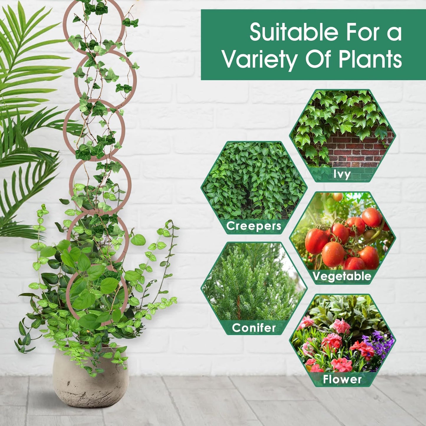 20pcs Round Chain Trellis for Climbing Plants Indoor, with 8pcs Self-Adhesive Hooks, HSSZXFR DIY Plant Climber Support for Vines and Garden Wall Trellis, for Monstera Pothos Ivy Flower