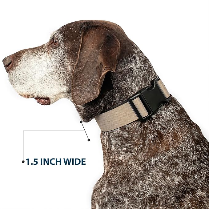 Buckle-Down Dog Collar Plastic Clip Natural Hemp 16 to 23 Inches 1.5 Inch Wide