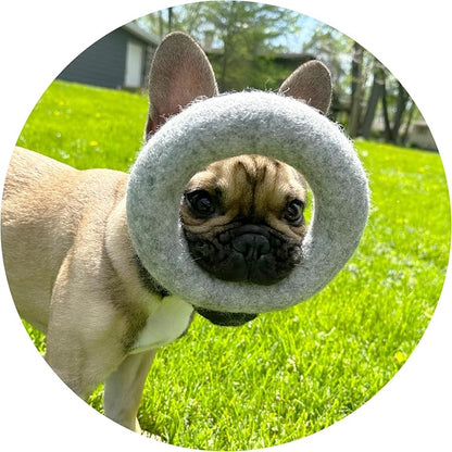 Large Wool Dog Ring Toy – Durable Organic Dog Ring for Medium & Large Dogs – Eco Friendly Natural Dog Toy – Creature ECO - 1 Pack