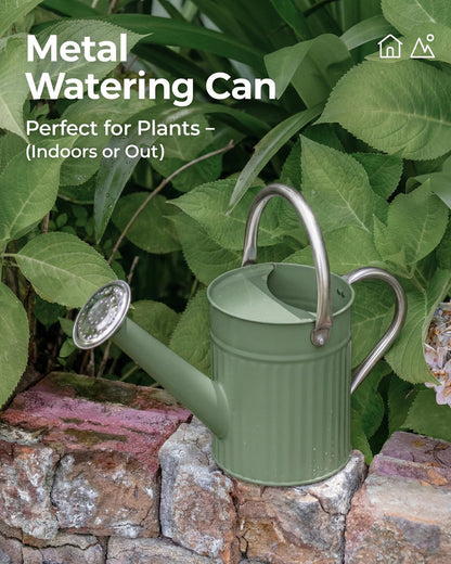 Bamworld Watering Can for Indoor Outdoor Plant Metal Watering Can with Removable Spout Embossd Design Plant Watering Devices Stainless Steel 1/2 Gallon Watering Cans Home & Garden Décor Creamy Green