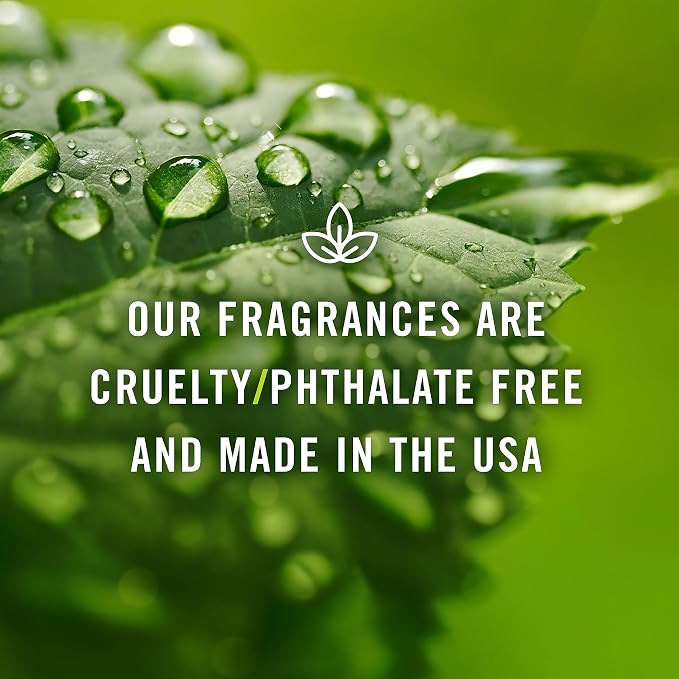 P&J Fragrance Oil - Watermelon Scented Candle Making, Soap Making, Diffuser Oil, 100ml