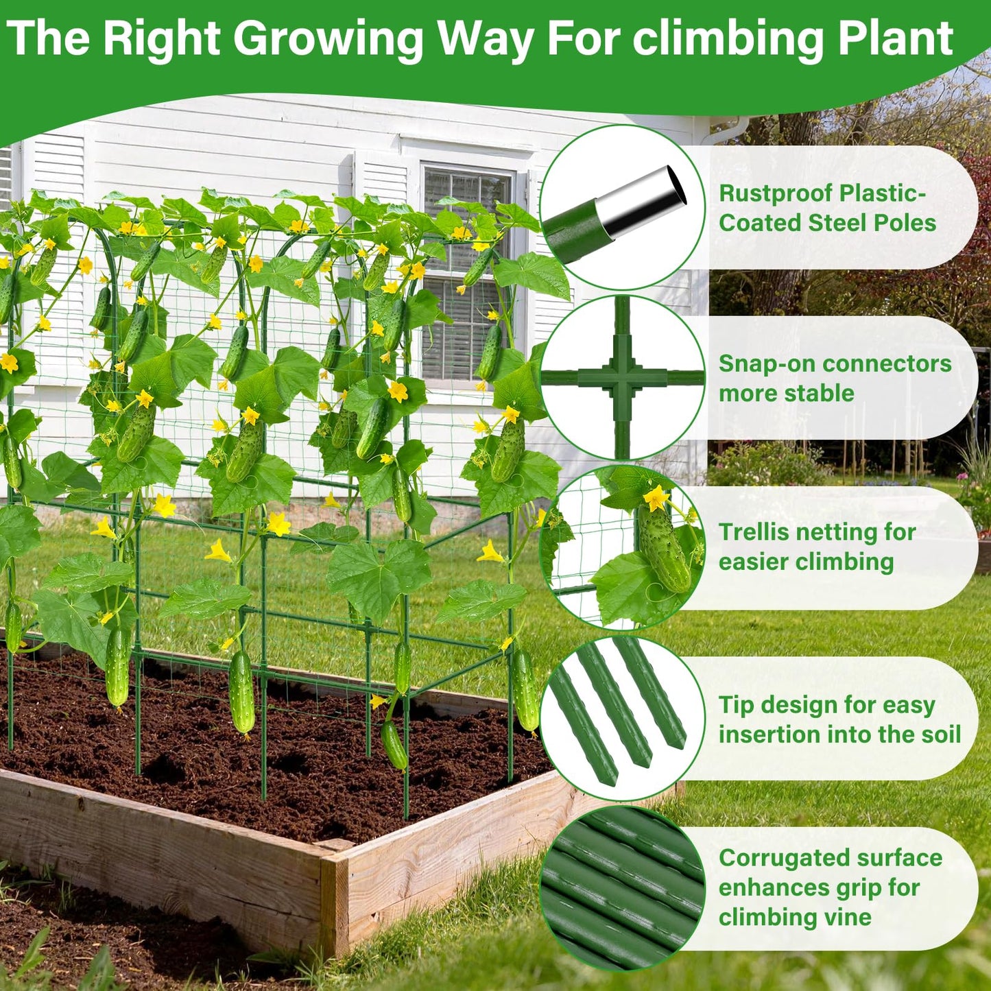 Sunwinx Garden Cucumber Trellis for Climbing Plants Outdoor with Grow Bag, 65x50 Inch Large U-Shaped Cucumber Trellis for Raised Bed, Metal Arch Plant Trellis for Vegetable Grape Pea Bean Vine Squash