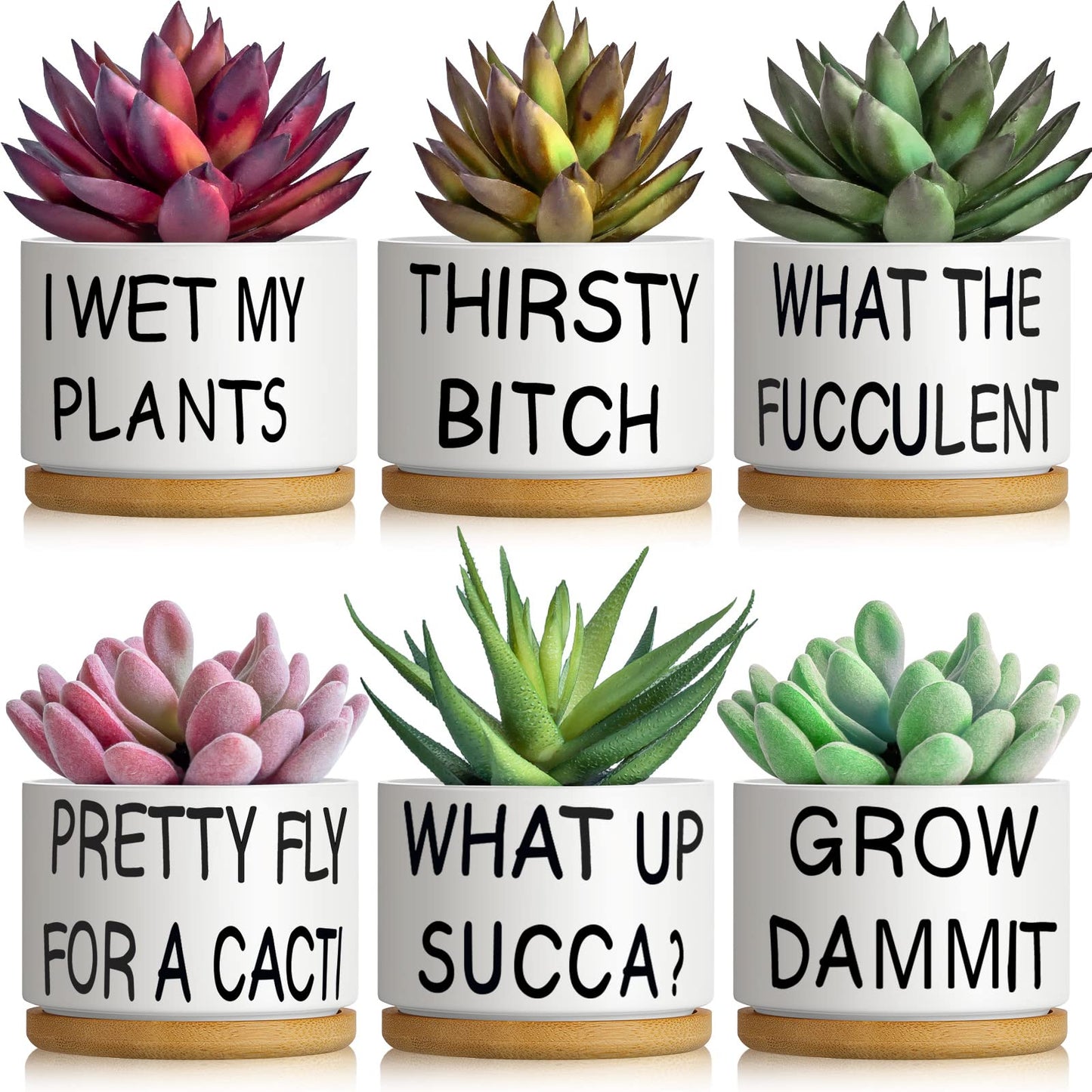 Suclain 6 Set Succulent Flower Cactus Planter Gifts Plant Cactus Flower Ceramic Funny Planter Pots Succulent Planters with Drainage Hole and Bamboo Saucers for Women Men Party Favor
