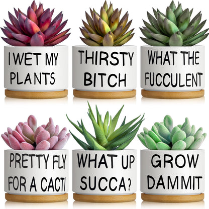 Suclain 6 Set Succulent Flower Cactus Planter Gifts Plant Cactus Flower Ceramic Funny Planter Pots Succulent Planters with Drainage Hole and Bamboo Saucers for Women Men Party Favor
