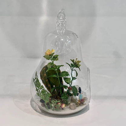 WGV Planter Terrarium Bulk, Width 5.5", Height 8", Clear Unique Pear Glass Vase Conatiner, DIY Planter Votive Candle Holder for Home Office Garden Decor, 6 Pieces