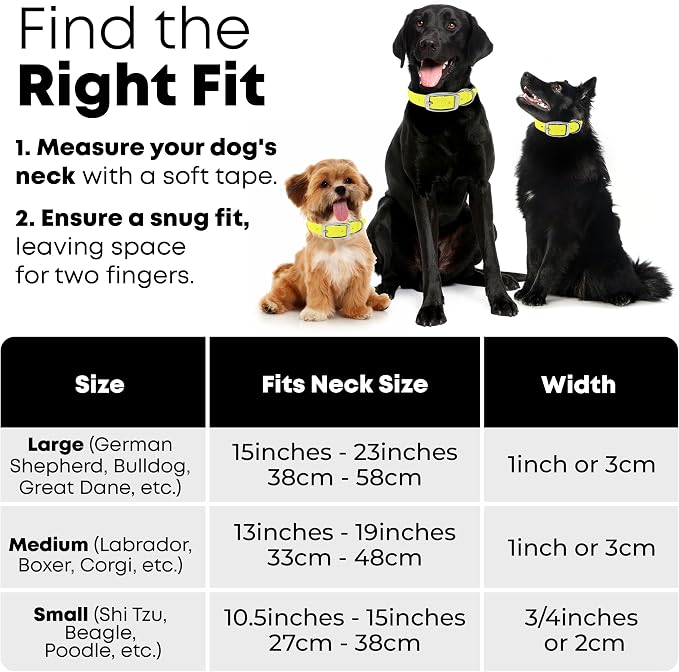 Regal Dog Products Small Yellow Dog Collar with Heavy Duty Double Buckle & D Ring | Vinyl Coated, Custom Fit, Adjustable Biothane Dog Collar Chew Resistant Waterproof Collar for Dogs