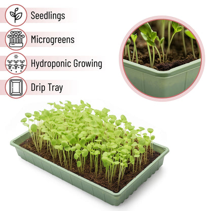 Mr. Pen- Seed Starter Trays, 10 Pack, 17"x10"x2.4", Durable Plastic Growing Trays, Stackable and Reusable Seedling Starter Kits for Indoor, Outdoor, Greenhouse Gardening, Planting, Hydroponic Systems