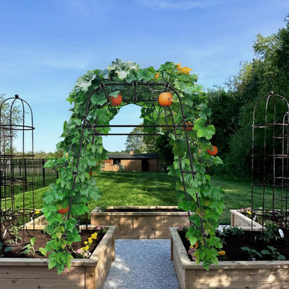 AlisisFores Garden Arch Plant Trellis for Climbing Plants Outdoor, Cucumber Trellis for Raised Bed, Grape Metal,Arbor Trellis Plant Support Flower Vegetables,Tomato Black,6.7FT Rust-Proof